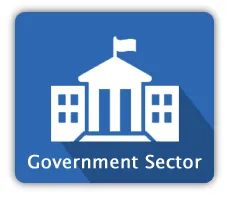 Government sector